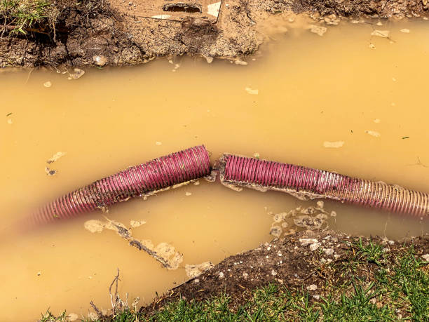Best Water damage restoration experts  in Greensburg, PA