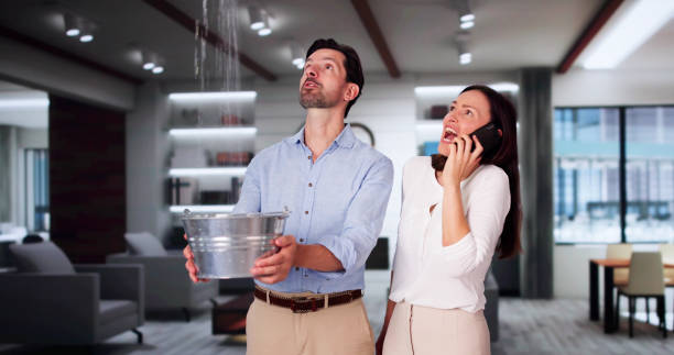 Best Professional water damage repair  in Greensburg, PA